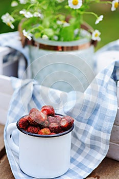 June or july garden scene with fresh picked organic wild strawberry