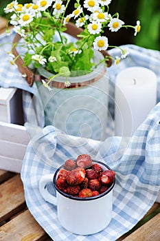 June or july garden scene with fresh picked organic wild strawberry and chamomile flowers