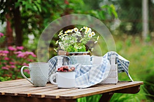 June or july garden scene with fresh picked organic wild strawberry and chamomile flowers on wooden table outdoor