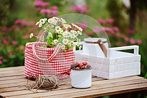 June or july garden scene with fresh picked organic wild strawberry and chamomile flowers on wooden table outdoor