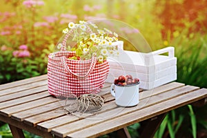 June or july garden scene with fresh picked organic wild strawberry and chamomile flowers on wooden table outdoor