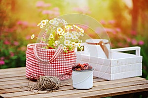 June or july garden scene with fresh picked organic wild strawberry and chamomile flowers on wooden table outdoor