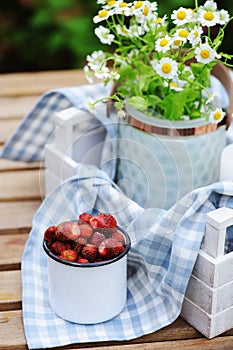 june or july garden scene with fresh picked organic wild strawberry and chamomile flowers on wooden table outdoor photo