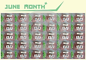 June month collection for background.