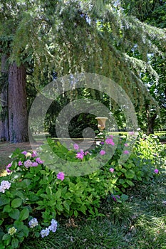 June 2021 Parma, Italy: Fondation Magnani Rocca. Beautiful building of museum, garden with fountains. Vertical. photo