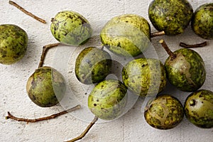 June plum, Spondias dulcis, or ambarella edible fruit on white cement plate background.