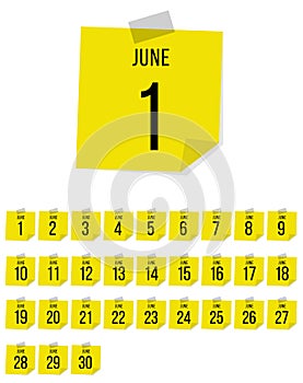 June. Vector flat daily calendar set. Icon. day month year