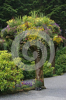 Juneau, Alaska: Glacier Gardens is a rainforest botanical garden in the Tongass National Forest