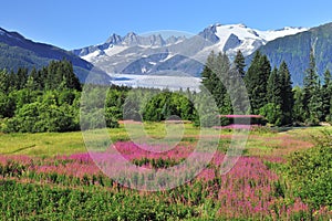 Juneau,capital of Alaska