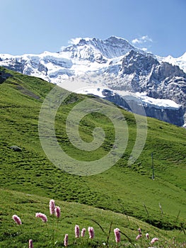 Jungfrau Switzerland