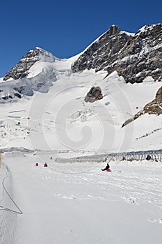 Jungfraujoch Sledging photo