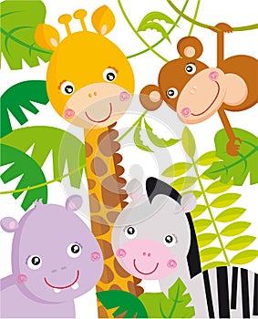 Jungle animals