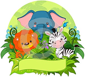 Jungle Animals photo