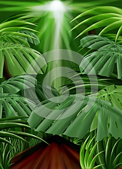 Jungle Background (Front leaf path included)