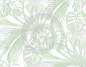 Jungle. background of leaves of tropical palms, monster, agave. Seamless. Isolated on white. illustration