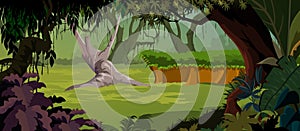 Jungle background - Pleasant Scenery