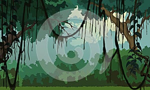 Jungle background - Pleasant Scenery