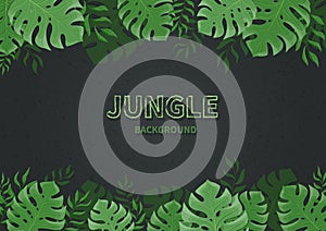 Jungle background. Tropic palm leaves, branches on a black background. Green monstera leaf. Text space.