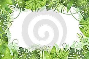 Jungle background. Tropical leaves frame. Rainforest foliage plants, green grass trees. Paradise african wildlife jungle