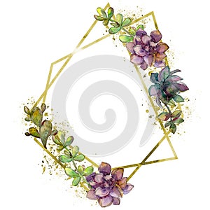Jungle botanical succulent flower. Watercolor background illustration set. Frame border crystal ornament square.