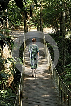 Jungle bridge, Brasil