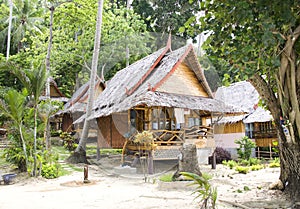 Jungle bungalow in Phi Phi island