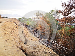 Jungle burned down and soil erosion after from a dry monsoon season.
