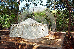 A jungle camp
