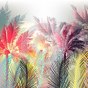 Jungle colorful palms and tropical plants. photo