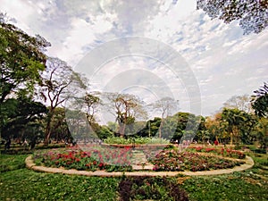 In the jungle of concrete, I found tranquilly here. The azure sky, the greenery, the flowers, the diverse colours.