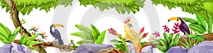 Jungle exotic birds border, tropical nature rainforest illustration, toucan, parrot, liana, banana leaf, rock.