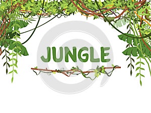 Jungle exotic leaves and lianes vector background