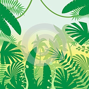 Jungle Flat Background