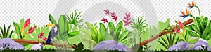 Jungle floral border, vector tropical nature illustration, toucan, green grass, leaves, stone, exotic flowers.