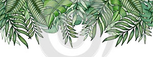 Jungle foliage pattern with green tropical leaves on white, hand drawn seamless border in tropical illustration banner design