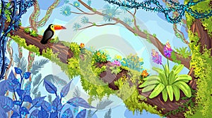 Jungle forest. Illustration of toucan sitting on the tree. Vector hand-drawn rainforest