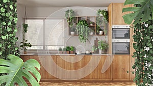 Jungle frame, biophilic concept idea interior design. Tropical leaves over modern kitchen with houseplants. Cerpegia woodii and