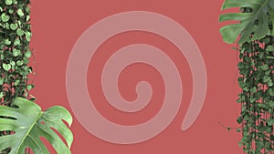 Jungle frame, biophilic concept idea. Tropical leaves isolated on red background with copy space. Cerpegia woodii and monstera