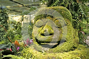 Jungle head statue