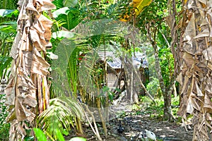 Jungle home in mindoro photo