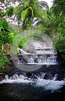 Jungle hotsprings