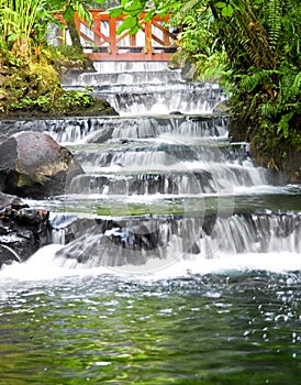 Jungle Hotsprings -3