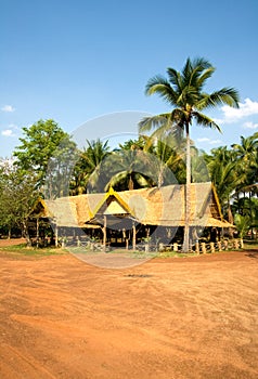 Jungle hut