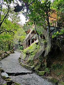 Jungle hut photo