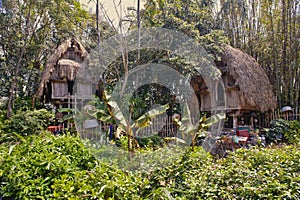 Jungle huts photo