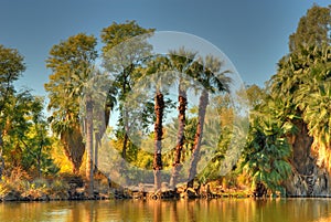 Jungle Lagoon 2
