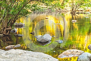 Jungle landscape with amazing stream at deep tropical rain forest. travel landscape and destinations Thailand South east asia