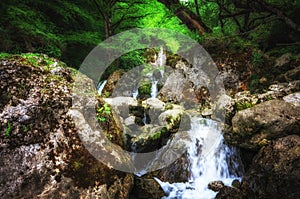 Jungle landscape with flowing turquoise water of georgian cascade waterfall at deep green forest. Mountain of georgia