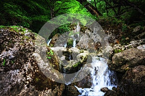 Jungle landscape with flowing turquoise water of georgian cascade waterfall at deep green forest. Mountain of georgia