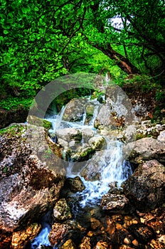 Jungle landscape with flowing turquoise water of georgian cascade waterfall at deep green forest. Mountain of georgia